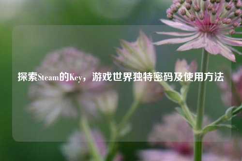 探索Steam的Key,游戏世界独特密码及使用