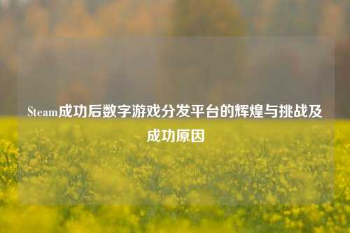 Steam成功后数字游戏分发平台的辉煌与挑战及成功原因