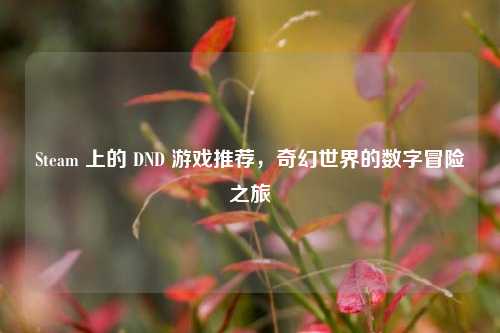 Steam 上的 DND 游戏推荐,奇幻世界的数字冒险之旅