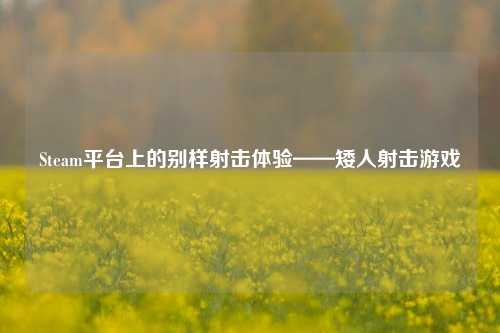 Steam平台上的别样射击体验——矮人射击游戏