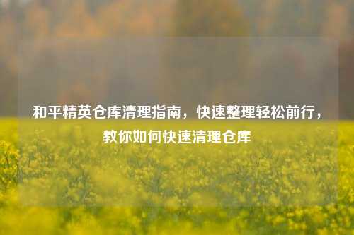 和平精英仓库清理指南,快速整理轻松前行,教你如何快速清理仓库