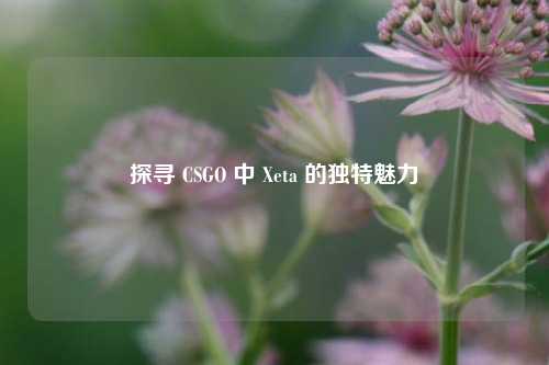 探寻 CSGO 中 Xeta 的独特魅力
