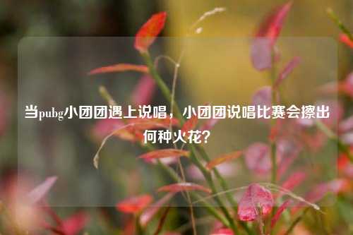 当pubg小团团遇上说唱,小团团说唱比赛会擦出何种火花?