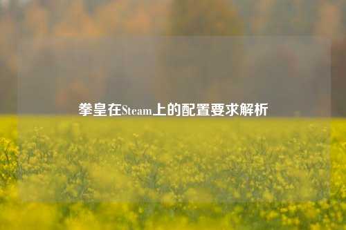 拳皇在Steam上的配置要求解析