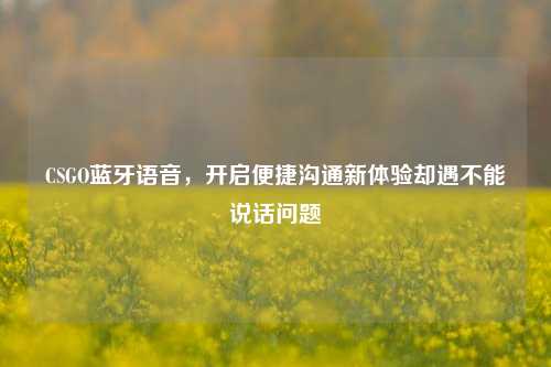 CSGO蓝牙语音,开启便捷沟通新体验却遇不能说话问题