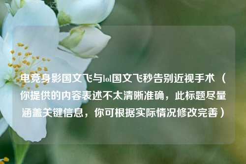 电竞身影国文飞与lol国文飞秒告别近视手术 (你提供的内容表述不太清晰准确,此标题尽量涵盖关键信息,你可根据实际情况修改完善)