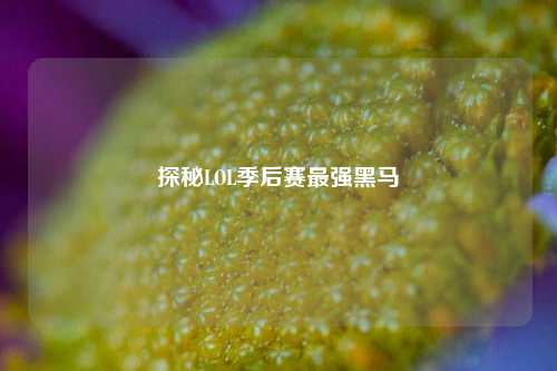 探秘LOL季后赛最强黑马