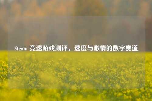 Steam 竞速游戏测评,速度与 的数字赛道