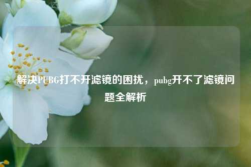 解决PUBG打不开滤镜的困扰,pubg开不了滤镜问题全解析
