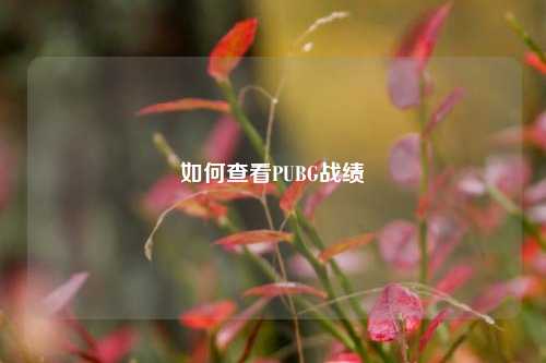 如何查看PUBG战绩