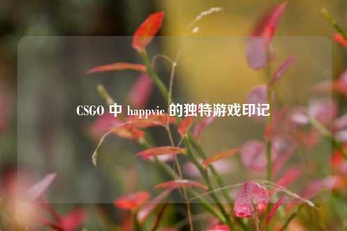 CSGO 中 happvic 的独特游戏印记