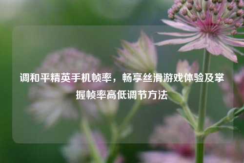 调和平精英手机帧率,畅享丝滑游戏体验及掌握帧率高低调节