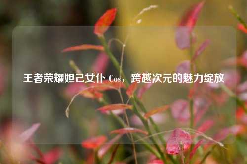 王者荣耀妲己女仆 Cos,跨越次元的魅力绽放
