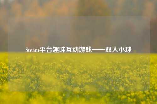 Steam平台趣味互动游戏——双人小球