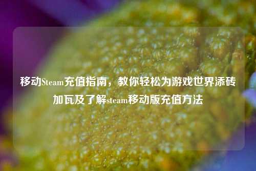 移动Steam充值指南,教你轻松为游戏世界添砖加瓦及了解steam移动版充值