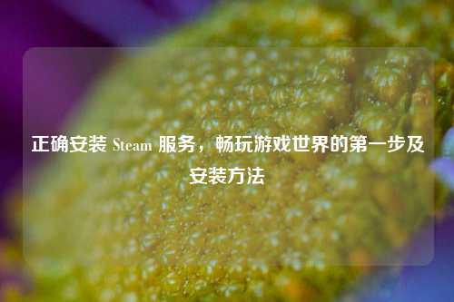 正确安装 Steam 服务,畅玩游戏世界的之一步及安装
