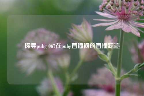 探寻pubg 067在pubg直播间的直播踪迹