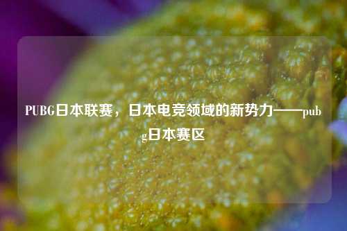 PUBG日本联赛,日本电竞领域的新势力——pubg日本赛区