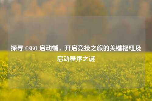 探寻 CSGO 启动端,开启竞技之旅的关键枢纽及启动程序之谜