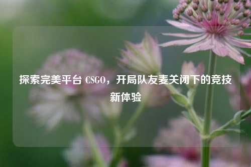 探索完美平台 CSGO,开局队友麦关闭下的竞技新体验