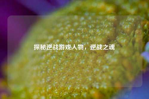 探秘逆战游戏人物,逆战之魂