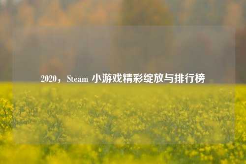 2020,Steam 小游戏精彩绽放与排行榜