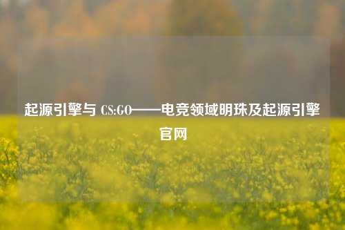 起源引擎与 CS:GO——电竞领域明珠及起源引擎官网