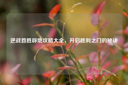 逆战首胜辟地攻略大全,开启胜利之门的秘诀