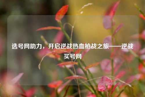 选号网助力,开启逆战热血枪战之旅——逆战买号网