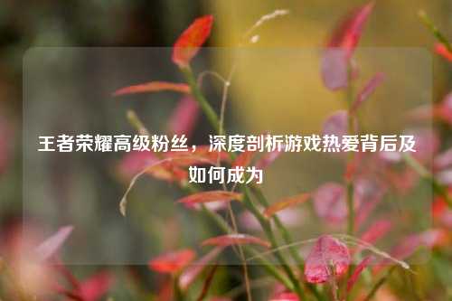 王者荣耀高级粉丝,深度剖析游戏热爱背后及如何成为