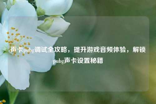 声卡pubg调试全攻略,提升游戏音频体验,解锁pubg声卡设置秘籍
