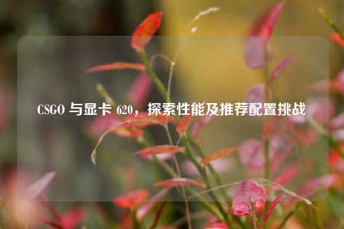 CSGO 与显卡 620,探索性能及推荐配置挑战