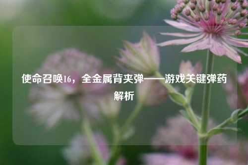 使命召唤16,全金属背夹弹——游戏关键弹药解析