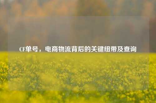 CF单号,电商物流背后的关键纽带及查询