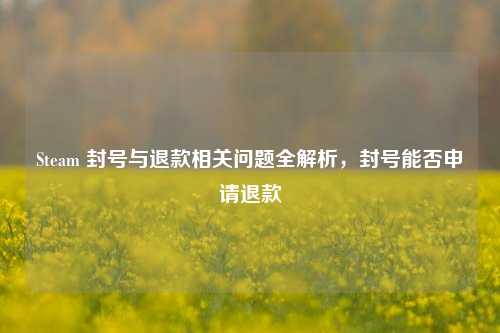 Steam 封号与退款相关问题全解析,封号能否申请退款