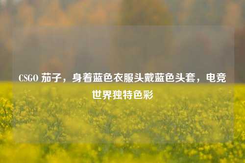 CSGO 茄子,身着蓝色衣服头戴蓝色头套,电竞世界独特色彩
