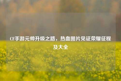 CF手游元帅升级之路,热血图片见证荣耀征程及大全