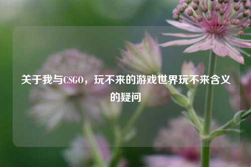 关于我与CSGO,玩不来的游戏世界玩不来含义的疑问