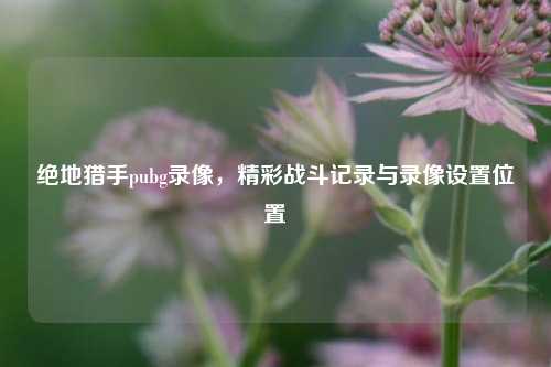 绝地猎手pubg录像,精彩战斗记录与录像设置位置