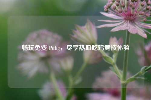 畅玩免费 Pubg,尽享热血吃鸡竞技体验