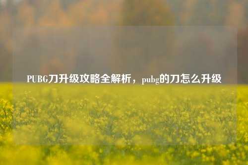 PUBG刀升级攻略全解析,pubg的刀怎么升级