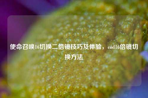 使命召唤16切换二倍镜技巧及体验,cod16倍镜切换