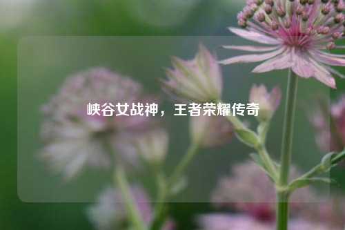 峡谷女战神,王者荣耀传奇