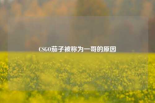 CSGO茄子被称为一哥的原因