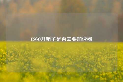 CSGO开箱子是否需要加速器