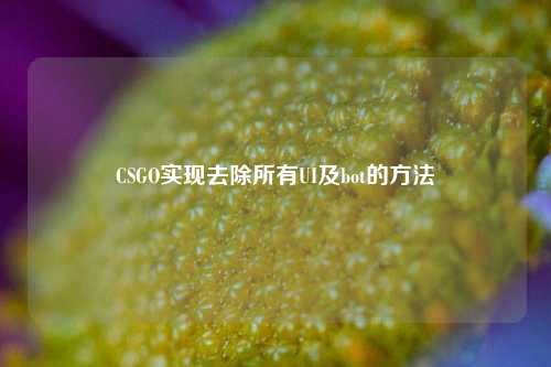 CSGO实现去除所有UI及bot的