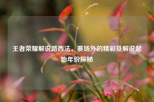 王者荣耀解说路西法,赛场外的精彩及解说起始年份探秘