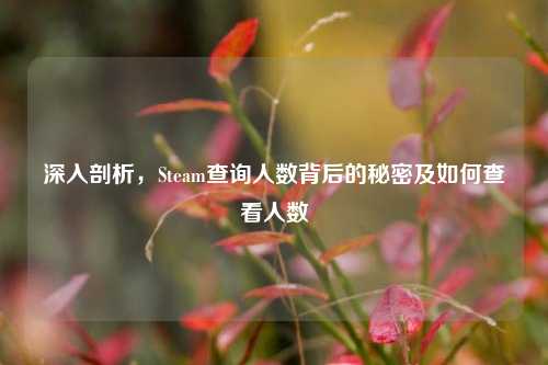 深入剖析,Steam查询人数背后的秘密及如何查看人数