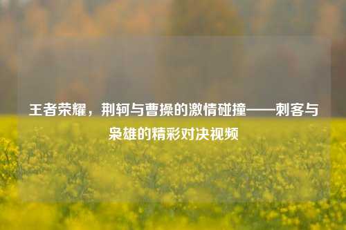王者荣耀,荆轲与曹操的 碰撞——刺客与枭雄的精彩对决视频