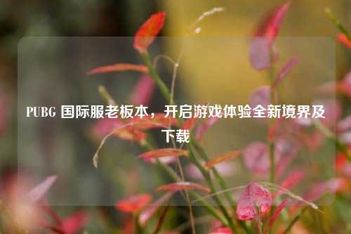 PUBG 国际服老板本,开启游戏体验全新境界及下载